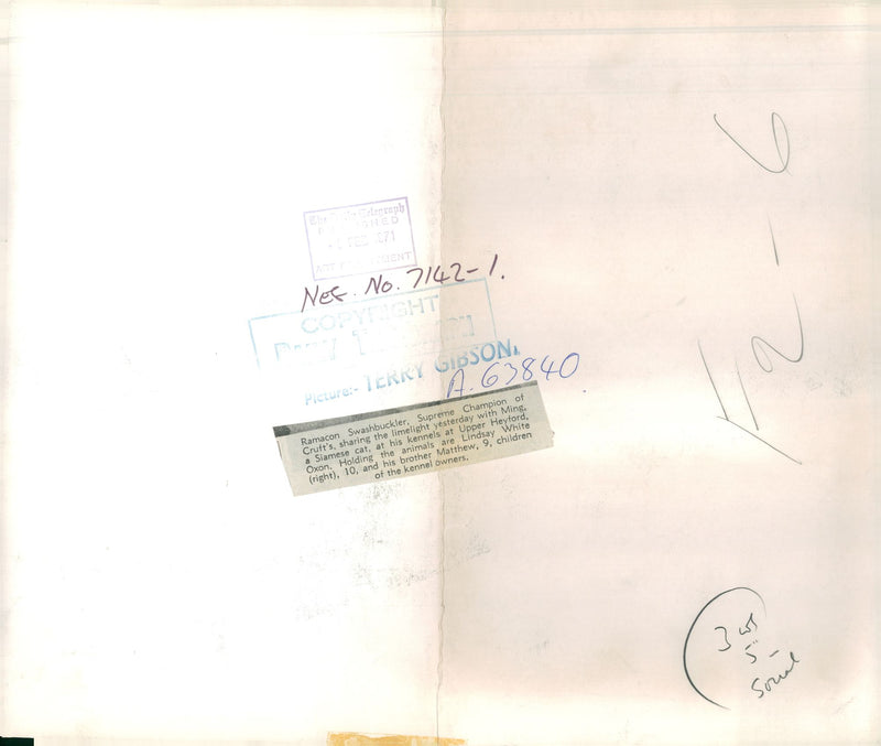 alsatian dog with lindsay and matthew - Vintage Photograph