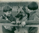 alsatian dog with lindsay and matthew - Vintage Photograph