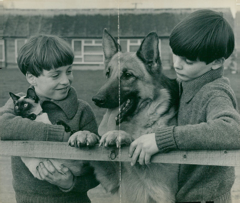 alsatian dog with lindsay and matthew - Vintage Photograph