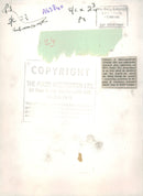 alsatian dog with janine laar - Vintage Photograph