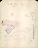 alsatian dog - Vintage Photograph