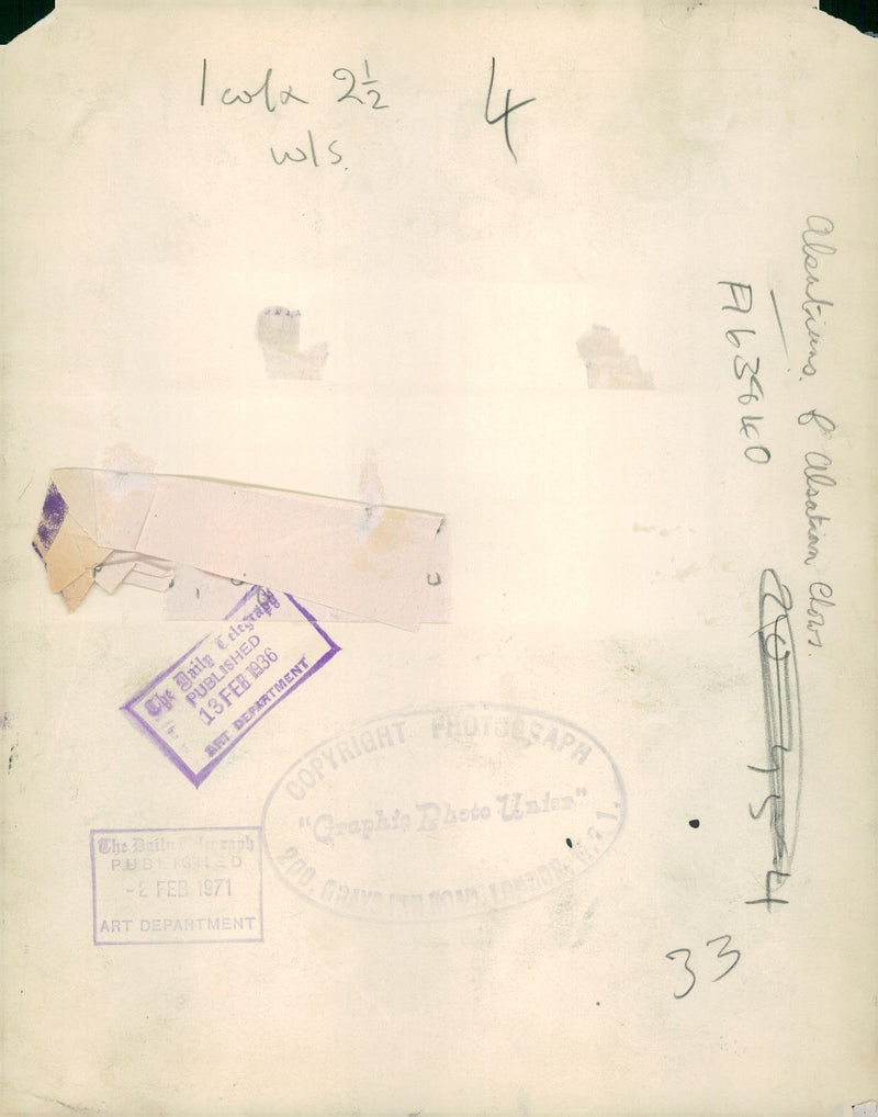 alsatian dog - Vintage Photograph