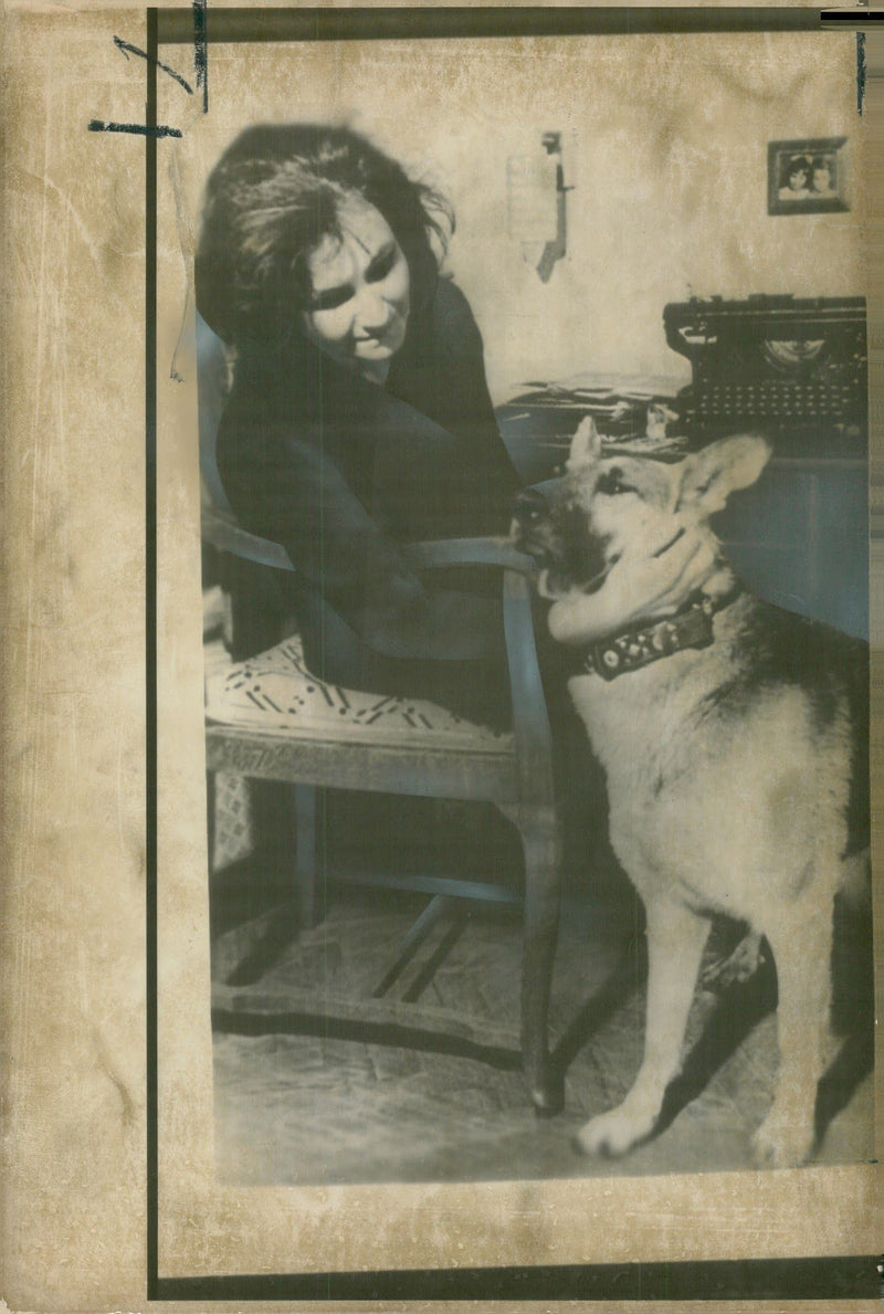 alsatian dog with miss vera - Vintage Photograph