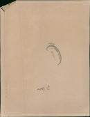 Claire Bloom Film actress. - Vintage Photograph