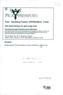 Max Martin, music producer, here at Grammis Gala on Circus - Vintage Photograph