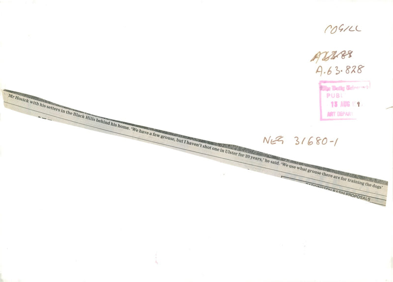 Dogs: English Setter: Mr. Hosick - Vintage Photograph