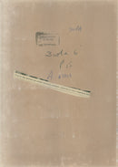 Dogs: English Setter - Vintage Photograph