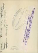 Dogs: English Setter - Vintage Photograph