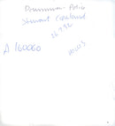 US musician Stewart Copeland with his spouse Fiona - Vintage Photograph