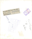 Dogs poodles,Fashion concious poodles. - Vintage Photograph