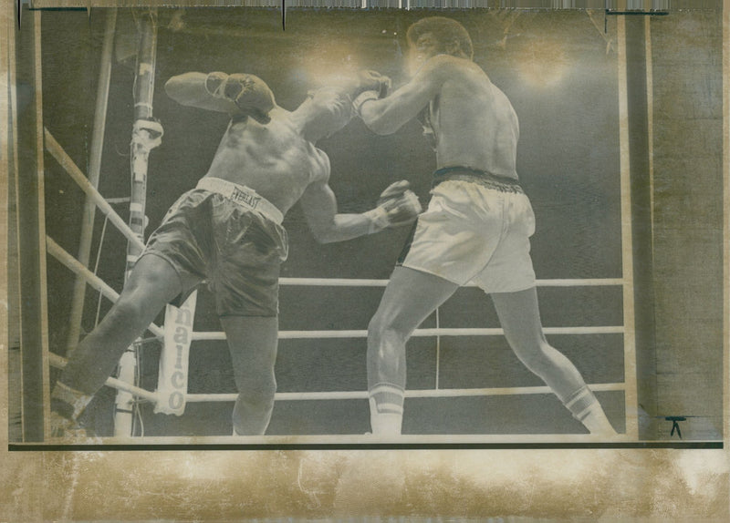James Albert Ellis - Vintage Photograph
