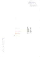 English golfer Nick Faldo - Vintage Photograph