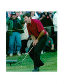 English golfer Nick Faldo misses a putt on the seventh - Vintage Photograph