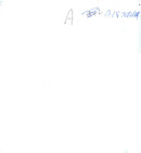 English golfer Nick Faldo - Vintage Photograph