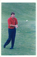 English golfer Nick Faldo - Vintage Photograph
