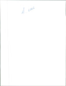 Donning shades a golden retriever enjoys the dog days of summer. - Vintage Photograph