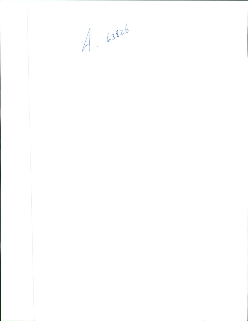 Donning shades a golden retriever enjoys the dog days of summer. - Vintage Photograph