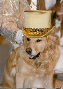 Bonnie Blue peter dog. - Vintage Photograph