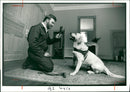 Dogs that sniff out dry rot. - Vintage Photograph