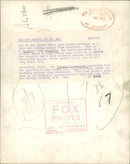 Animal: Temminck's Pangolian - Vintage Photograph