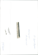 Anita Dobson Film actress: insight sisters. - Vintage Photograph