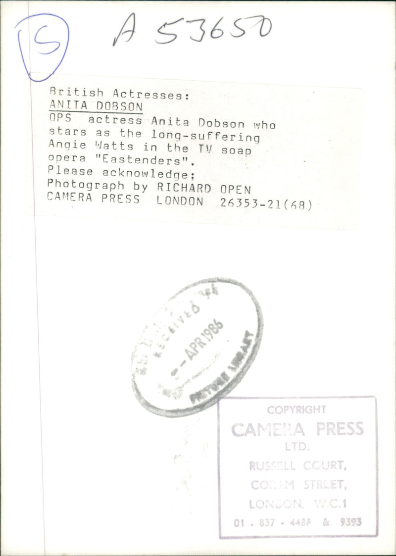 Anita Dobson Film actress: bristish actress. - Vintage Photograph