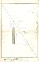 Bedlington Terriers Dogs - Vintage Photograph