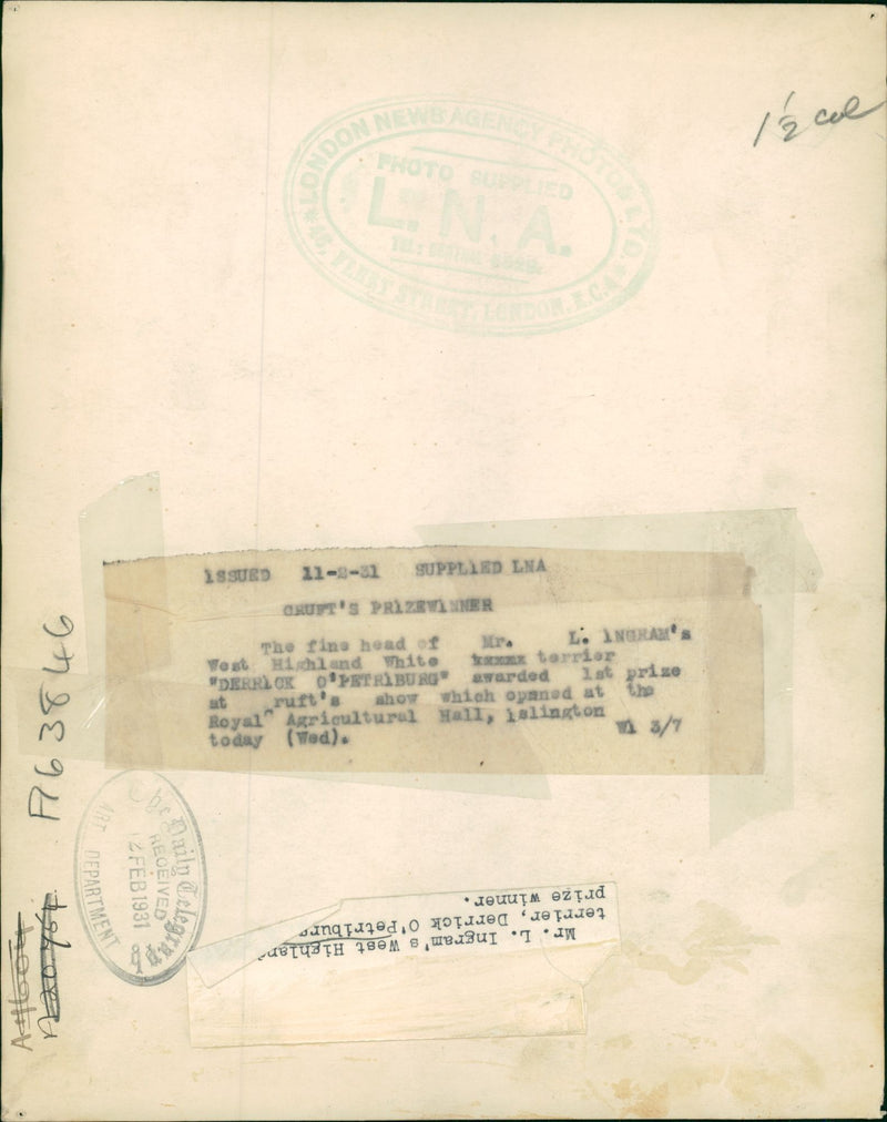 Dog w highland terrier. - Vintage Photograph