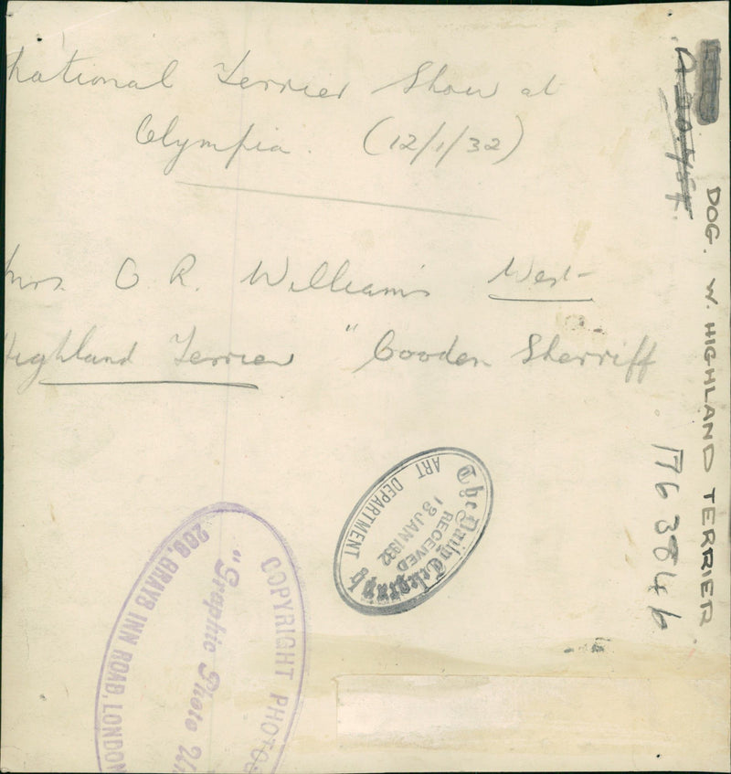 Dog w highland terrier. - Vintage Photograph