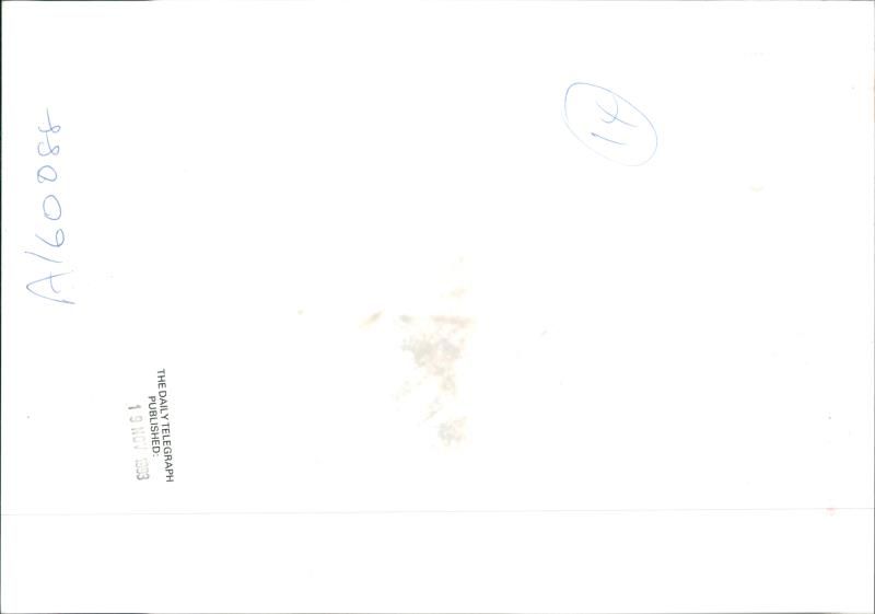 Fashion model. - Vintage Photograph