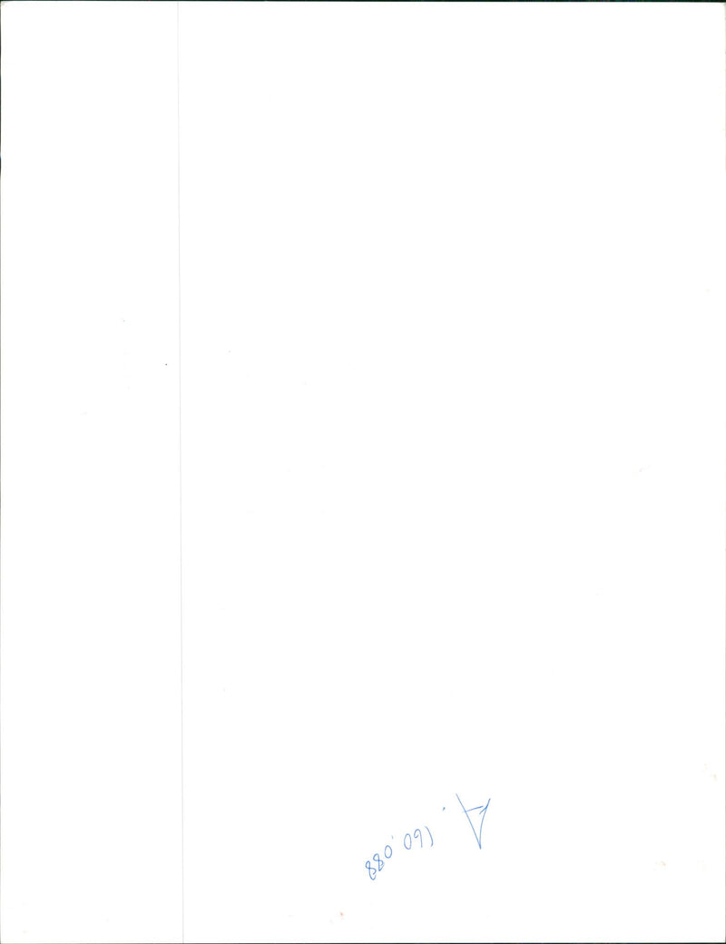 Fashion,Model laura wearing a black lace. - Vintage Photograph