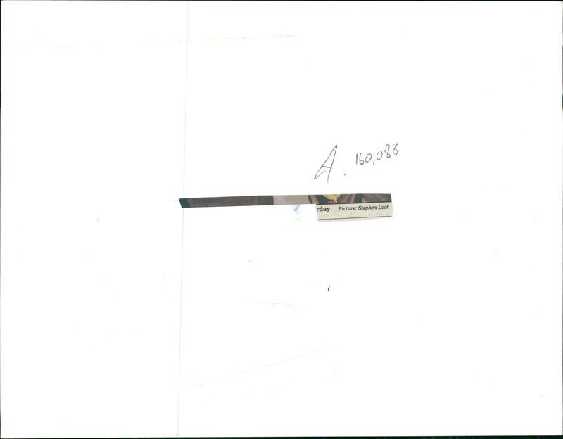 Fashion model. - Vintage Photograph