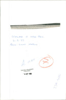 musical instruments bag pipes: pipers in the park. - Vintage Photograph