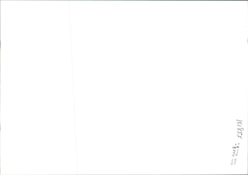 musical instruments bag pipes: - Vintage Photograph