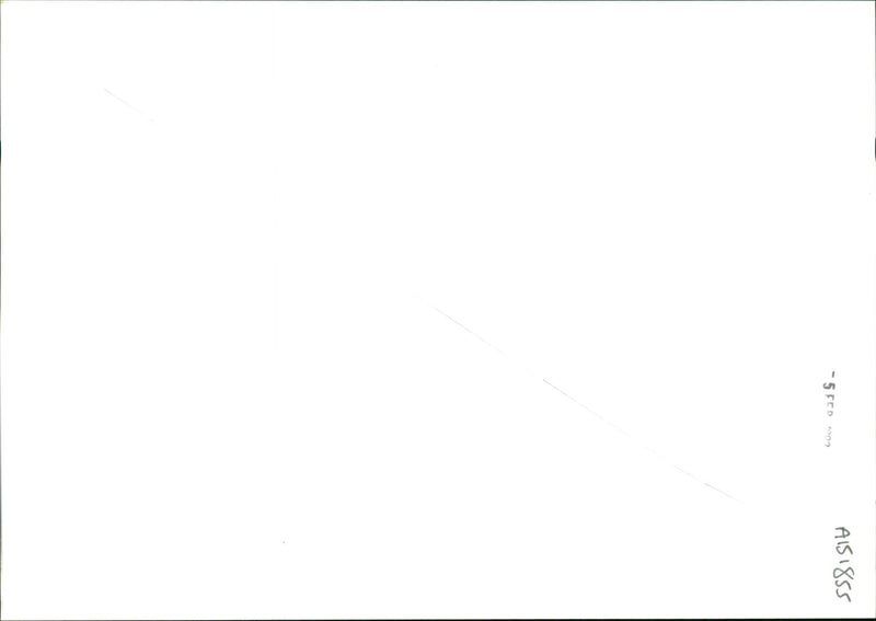 musical instruments bag pipes: - Vintage Photograph