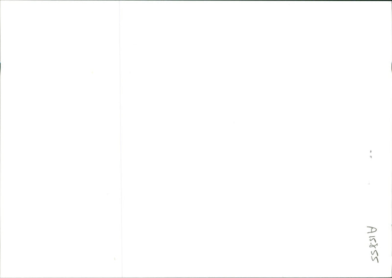 musical instruments bag pipes: - Vintage Photograph