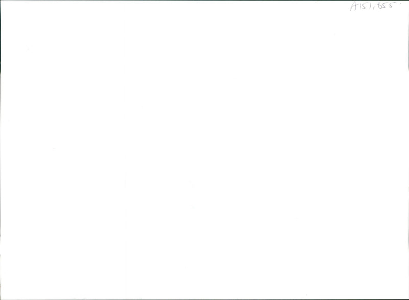 musical instruments bag pipes: - Vintage Photograph