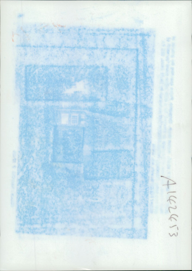 Barones Susan De Stempel Banon, - Vintage Photograph