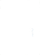 Dogs Collies with robert show. - Vintage Photograph