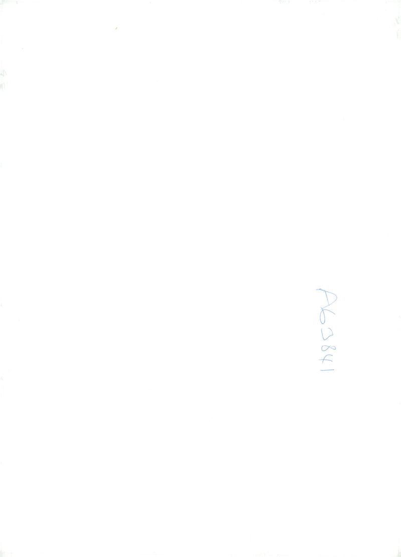 Dogs Collies with robert show. - Vintage Photograph