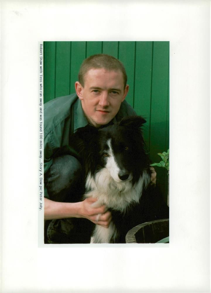 Dogs Collies with robert show. - Vintage Photograph