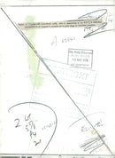 Dogs Collies,Sugar a 12year lod cross bred collie. - Vintage Photograph