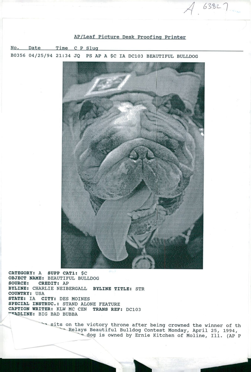 Bulldog Dog breed, - Vintage Photograph