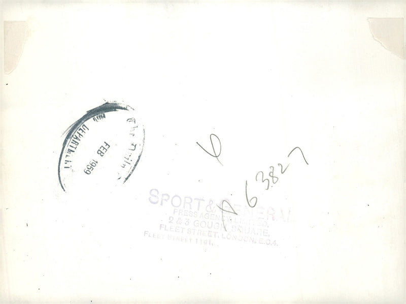 Bulldog Dog breed, - Vintage Photograph