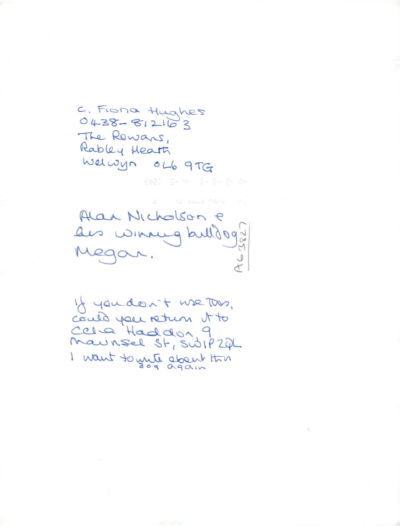 Bulldog Dog breed,Alan Nicholson. - Vintage Photograph