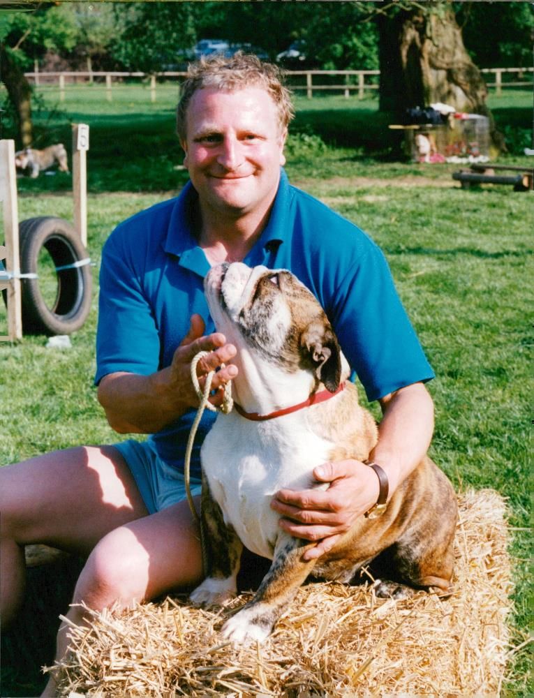 Bulldog Dog breed,Alan Nicholson. - Vintage Photograph