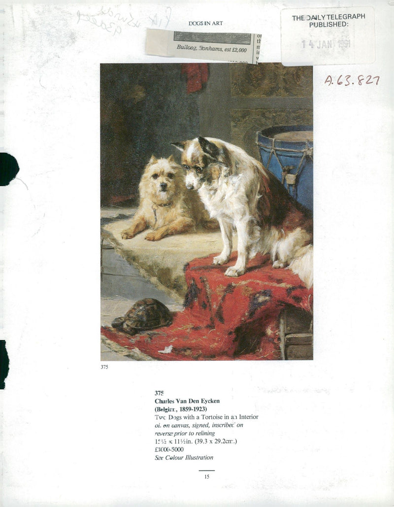 Bulldog Dog breed,Bulldog Sonham's. - Vintage Photograph