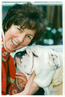 Bulldog Dog breed, - Vintage Photograph