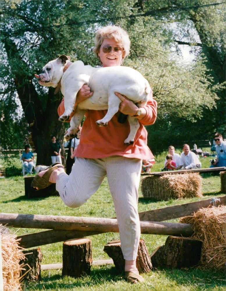 Bulldog Dog breed, - Vintage Photograph