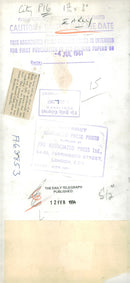 Greyhound Dog breed, - Vintage Photograph